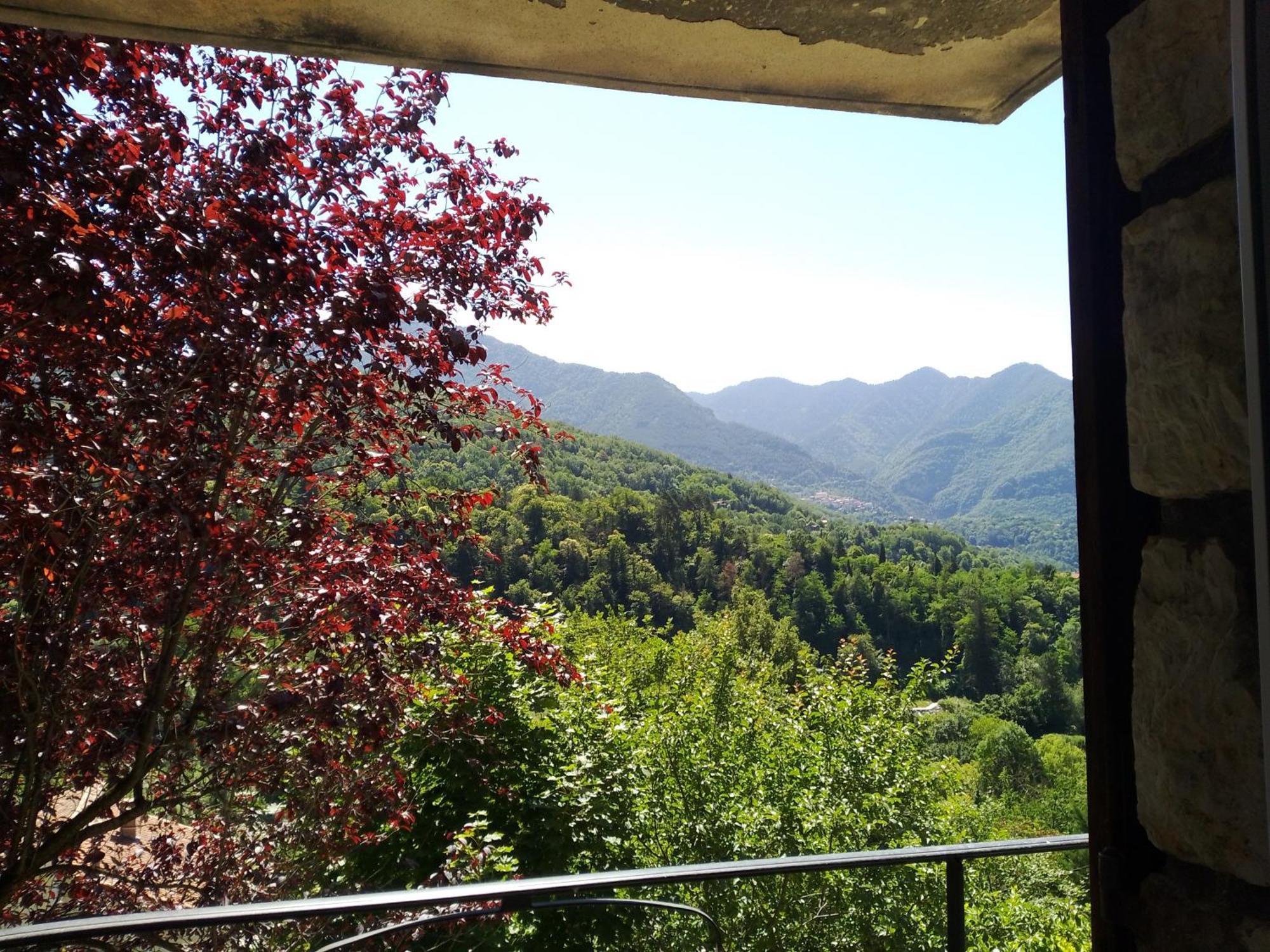 Les Lauriers Apartment Roquebilliere Luaran gambar